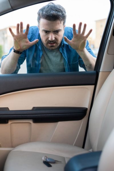What To Do If Your Child or Pet Is Locked in the Car - Mr Car Keys ...